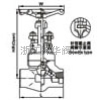 內螺紋與承插焊截止閥